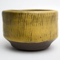 Harvest Bowl | Mustard