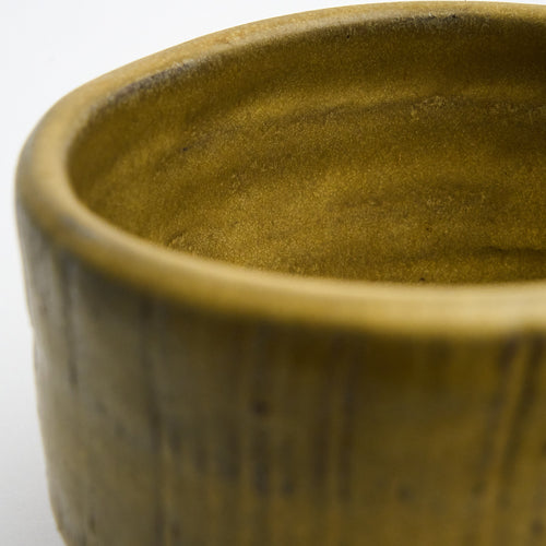 Harvest Bowl | Mustard